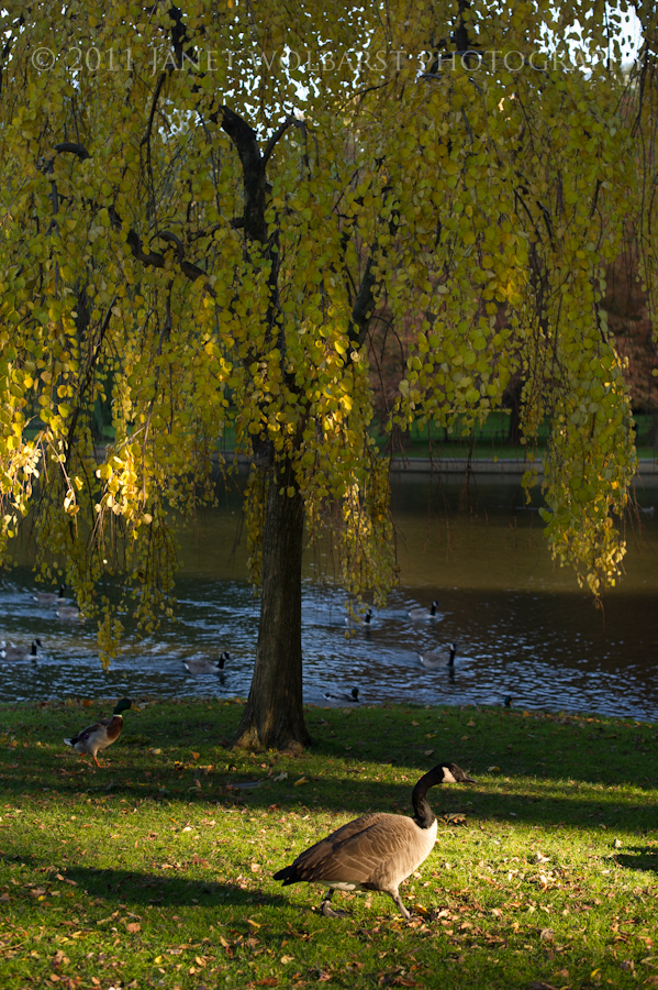 20111105_boston_262