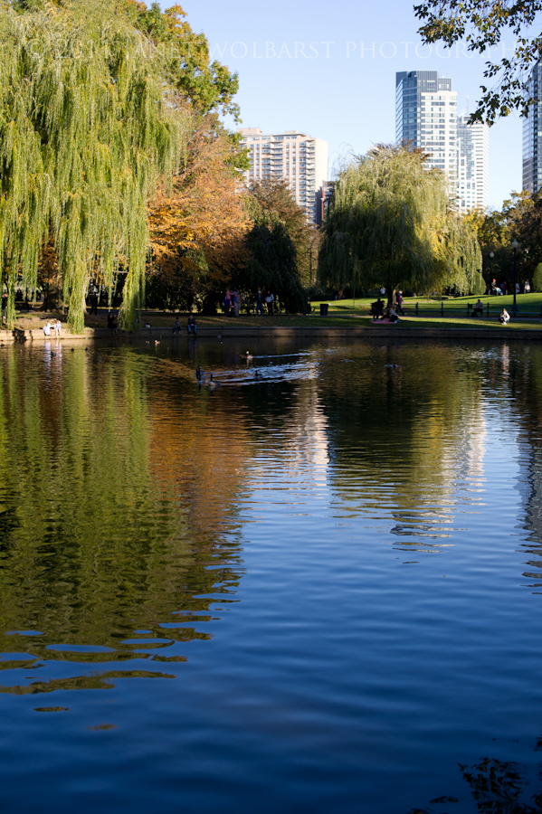 20111105_boston_321