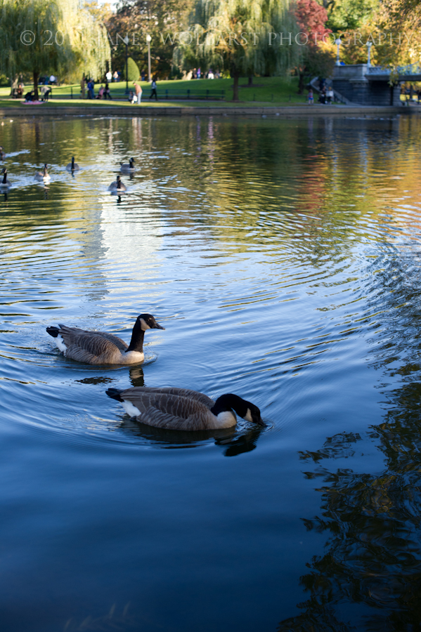 20111105_boston_342