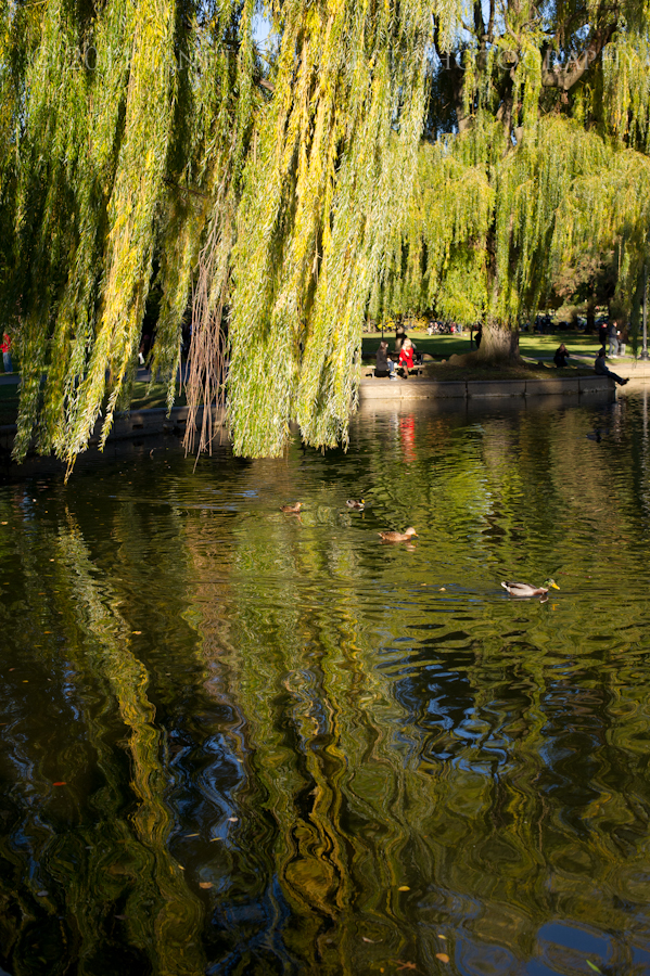 20111105_boston_379