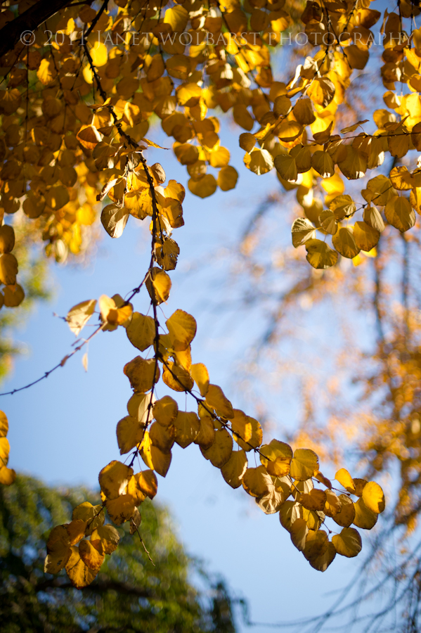 20111105_boston_429