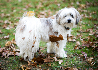 Janet Wolbarst Photography bio picture