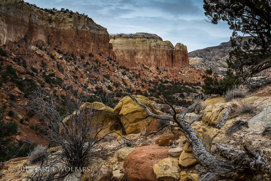 A HIKE AT GHOST RANCH » Janet Wolbarst Photography