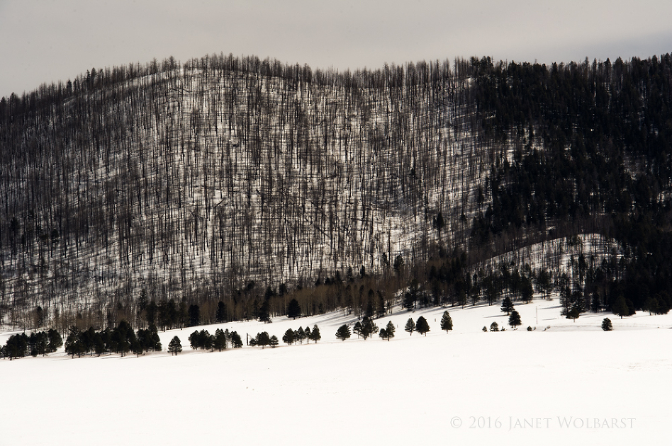 20160207_jemez_springs_010