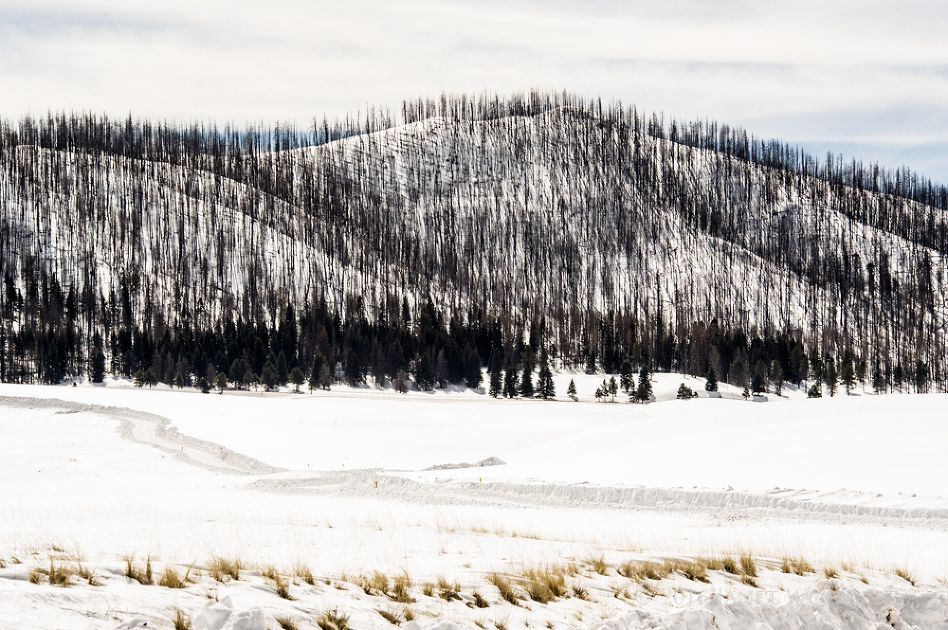 20160207_jemez_springs_028