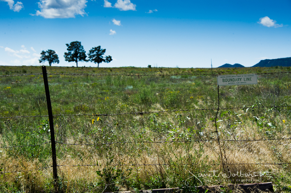 20160828_pecos_rodeo_010-1