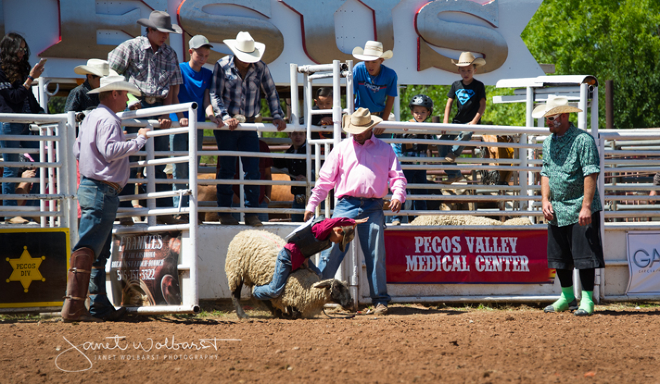 20160828_pecos_rodeo_094-1