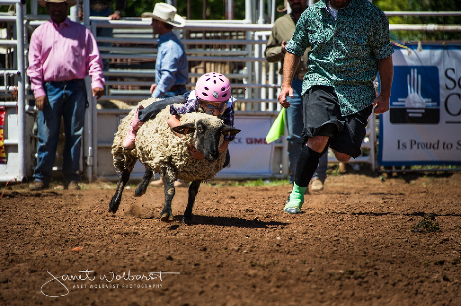 20160828_pecos_rodeo_125-2