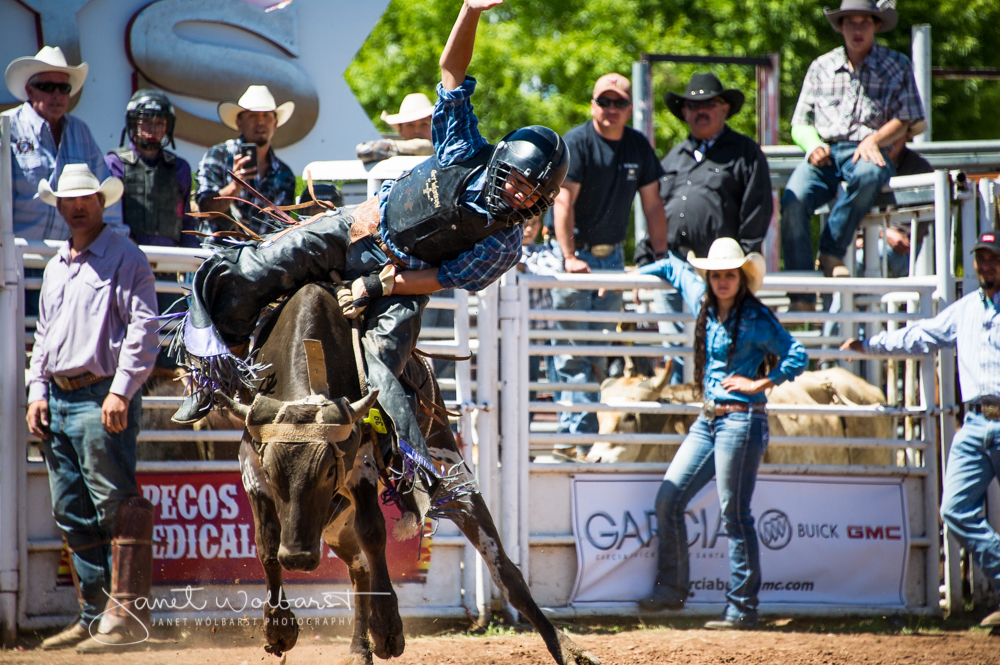 Nickyos Rodeo A DAY AT THE RODEO IN PECOS, NEW MEXICO ~ PART TWO » Janet Wolbarst ...