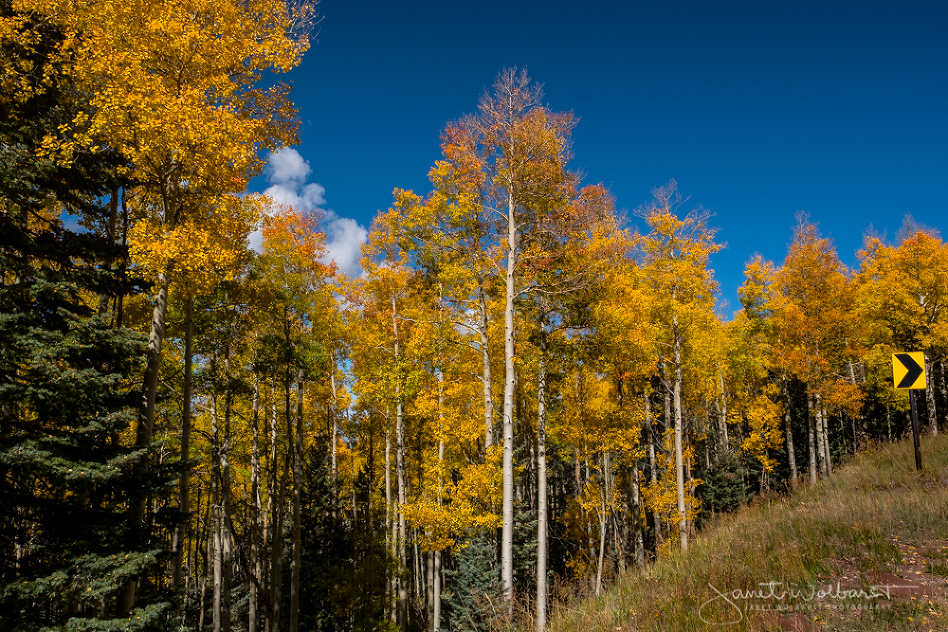 20161001_aspens_116