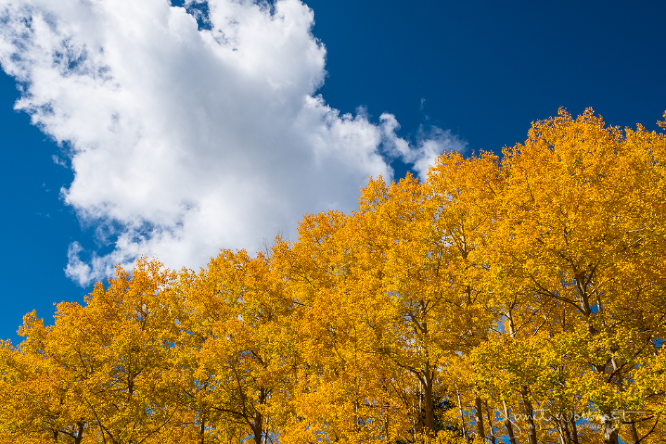 20161001_aspens_166